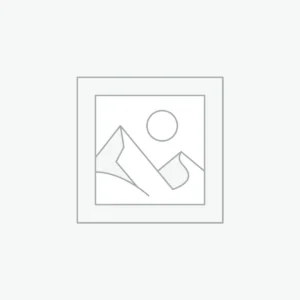 Áo Hoodie Gucci The North Face
